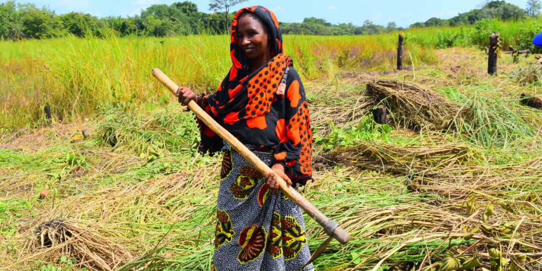 Aichatou est en train de nettoyer l’espace pour les activités maraîchères sur le site de Péndé, au sein de l’Association AGRI-PIONNIER CENTRAFRIQUE, à Gobolo 1, à Bria dans la Haute-Kotto.
